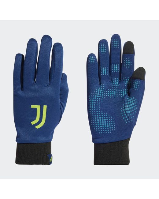 adidas Synthetik Juventus Turin Feldspieler-Handschuhe in Blau | Lyst DE