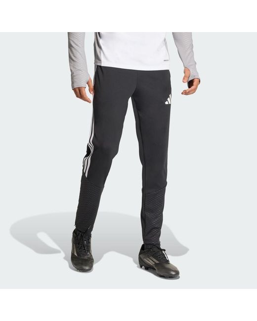 Adidas Blue Tiro 26 Competition Training Pants for men