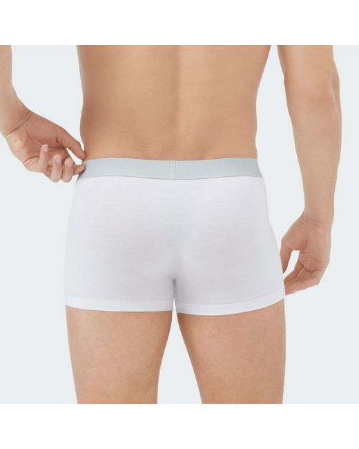 Adidas Blue Active Flex Cotton Body Trunk 3 Pack Underwear for men