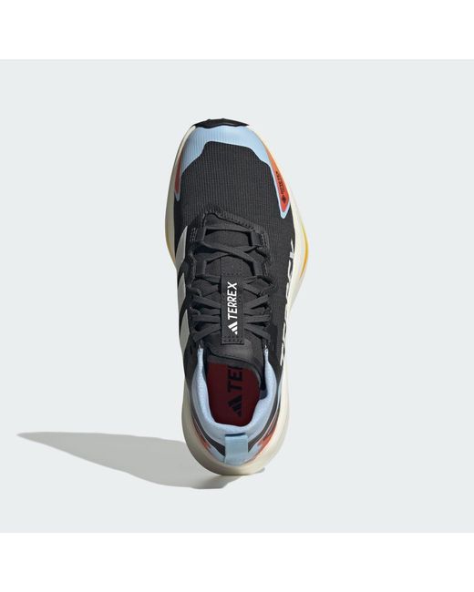 Adidas Blue Terrex Agravic Gtx Trail Running Shoes
