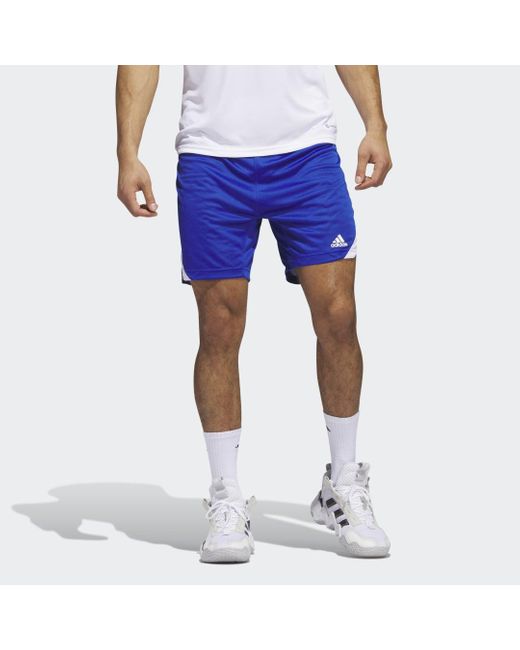 adidas Icon Squad Shorts in Blau für Herren | Lyst DE