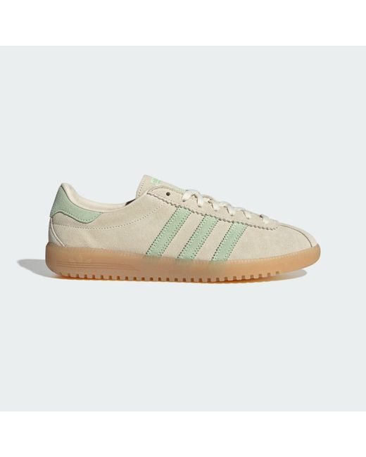 Adidas Multicolor Brmd Shoes