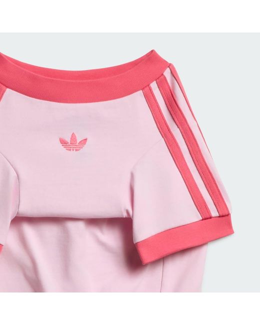 Adidas Pink Pet Cali Tee