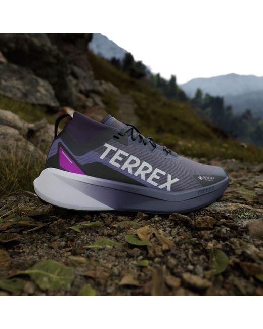 Adidas Blue Terrex Agravic Gtx Trail Running Shoes