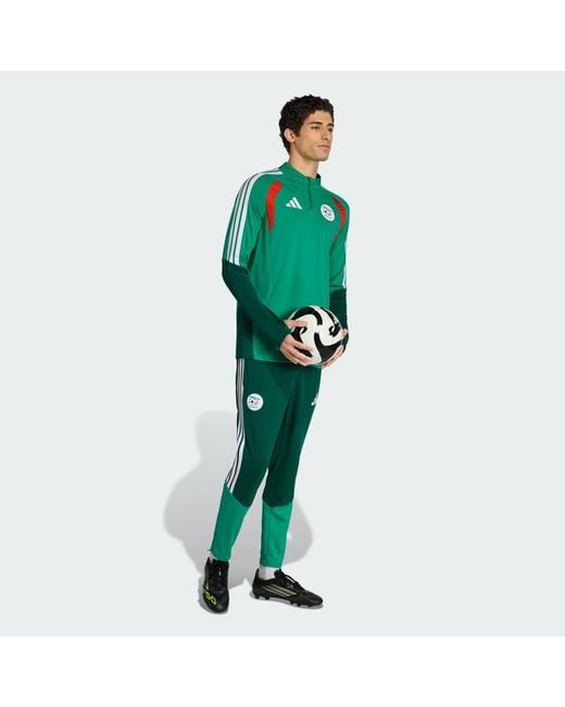 Adidas Green Algeria 26 Training Pants for men
