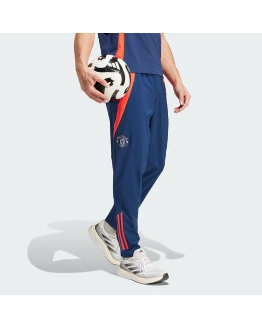 Adidas Blue Manchester United Tiro 24 Presentation Tracksuit Bottoms for men