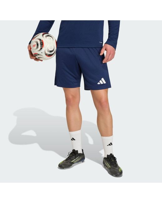 Adidas Blue Entrada26 Training Shorts for men