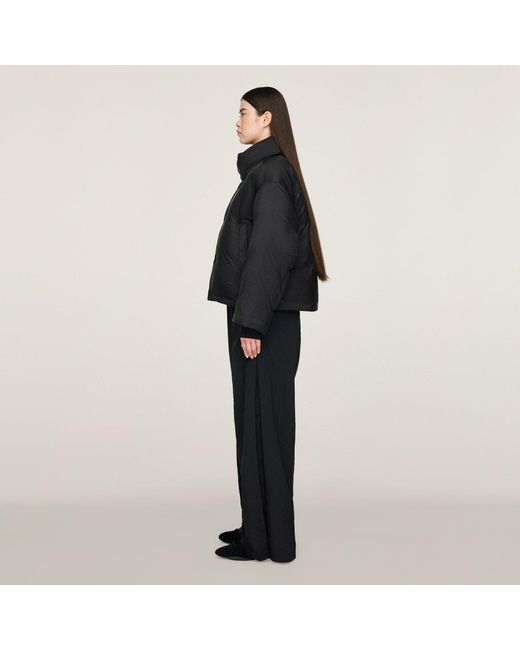 Adidas Black Y-3 Puffer Jacket