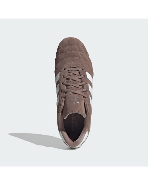 Adidas Brown Taekwondo Lace Shoes