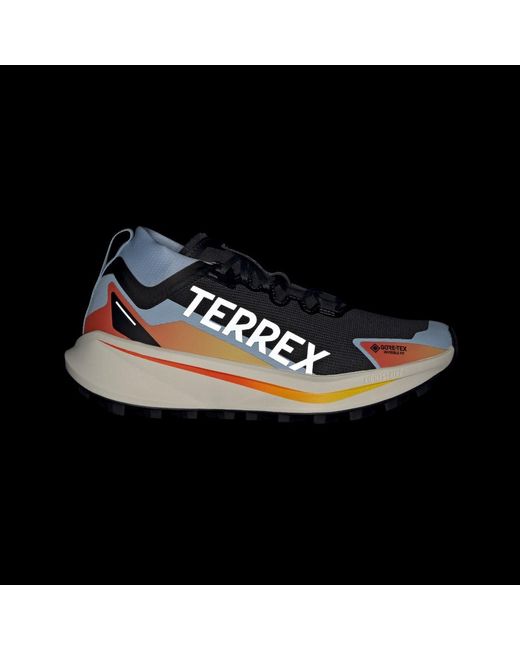 Adidas Blue Terrex Agravic Gtx Trail Running Shoes