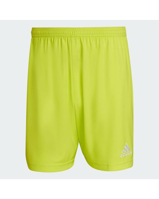 Adidas Green Entrada 22 Shorts for men