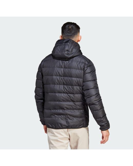 Adidas Gray Terrex Multi Light Down Hooded Jacket for men