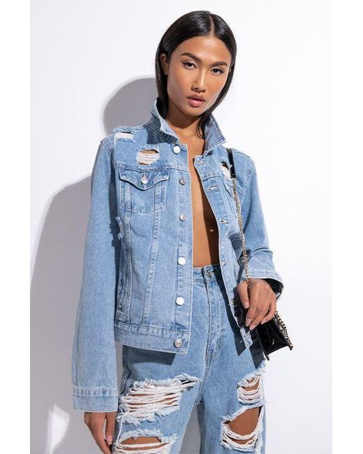 denim jacket rottweiler