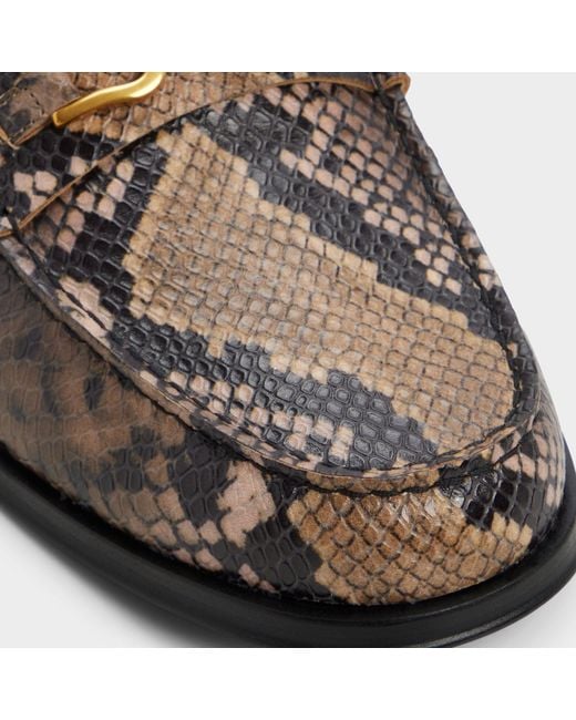 ALDO Multicolor Edouard – – for men