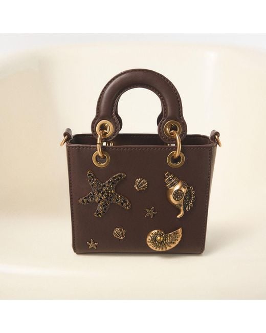 ALDO Brown Oriellaa –