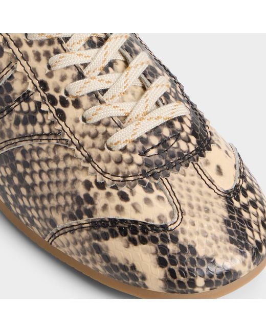 ALDO Multicolor Adrelya – –
