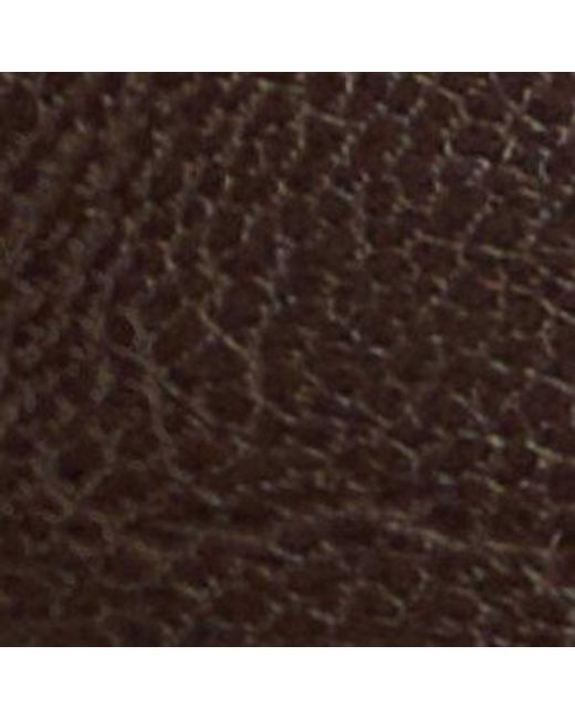 ALDO Black Eloewiel – –
