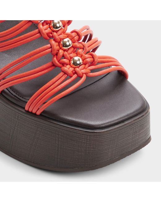 ALDO Red Timber – –
