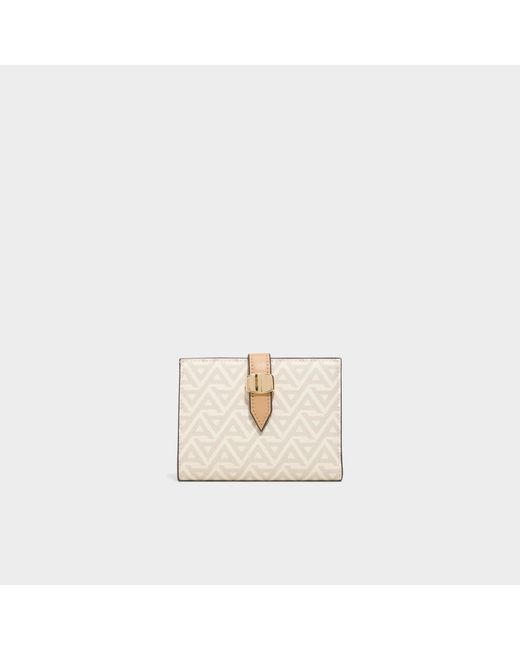 ALDO Natural Meraessii –