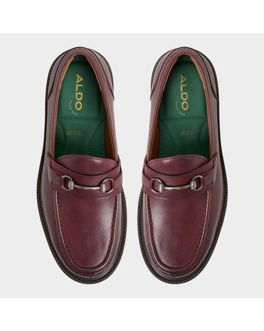 ALDO Brown Arturo for men