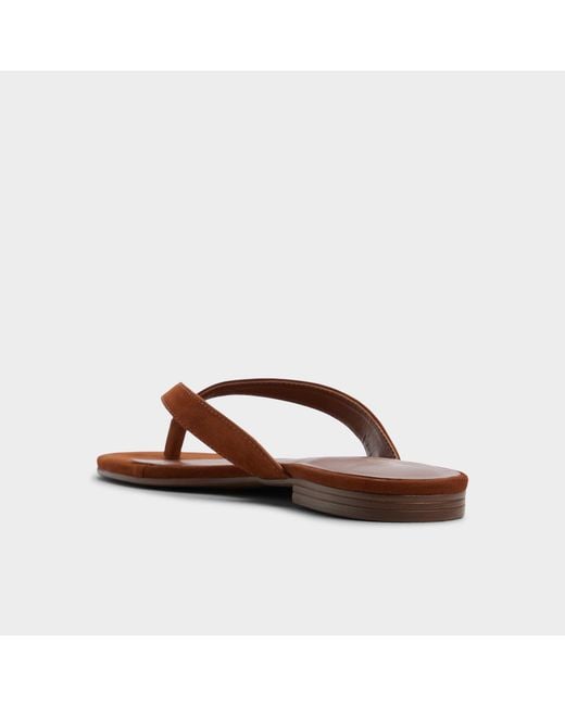 ALDO Brown Talula – –