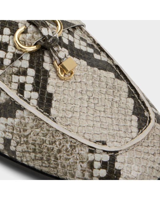 ALDO Multicolor Ybilide – –