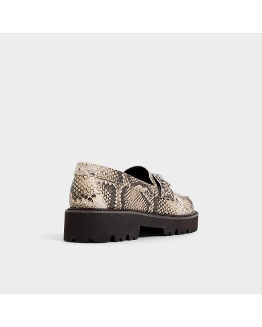 ALDO Brown Danrose – –