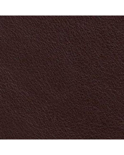 ALDO Brown Ysabellee –