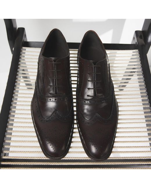 ALDO Brown Fillipo – – for men