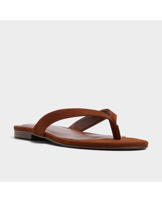 ALDO Brown Talula – –