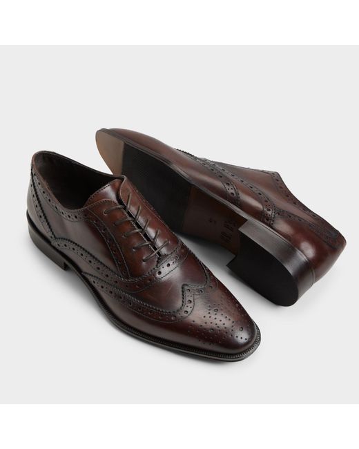 ALDO Brown Fillipo – – for men