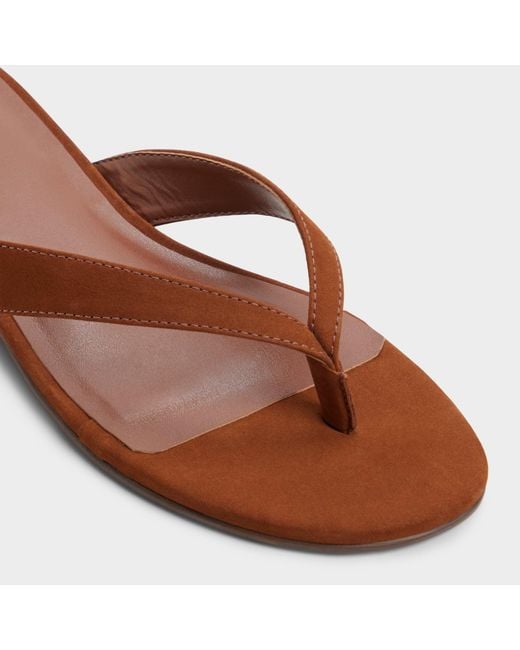 ALDO Brown Talula – –