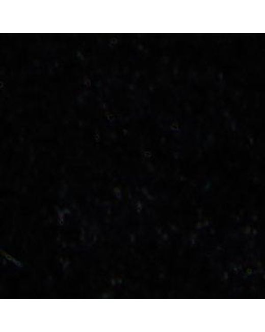 ALDO Black Starrie – –