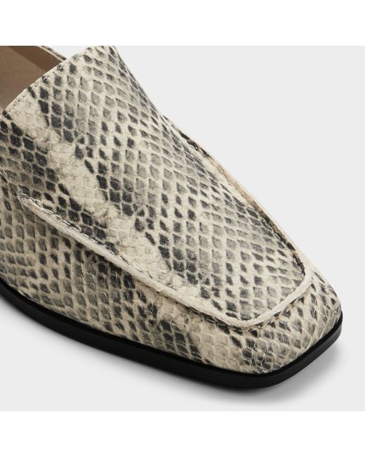 ALDO Multicolor Carrobreria – –