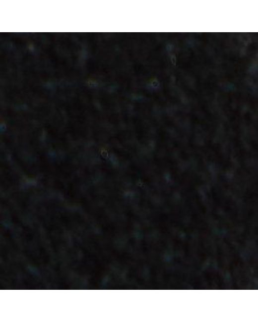 ALDO Black Belissa – –
