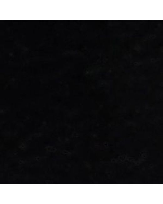 ALDO Black Elenaria – –