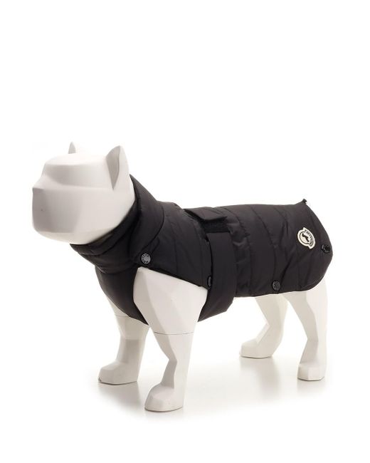 Moncler Dog Vest in Black Lyst