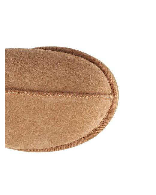 Ugg Brown "tasman" Mule