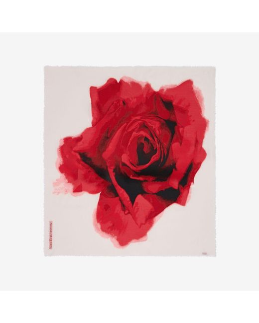 Alexander McQueen Red Schal mit bleeding rose-motiv