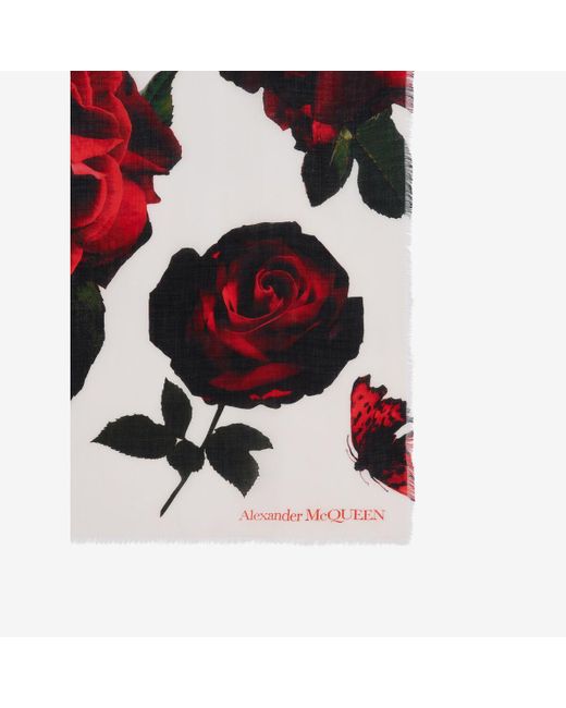 Alexander McQueen Red Schal mit roses-motiv