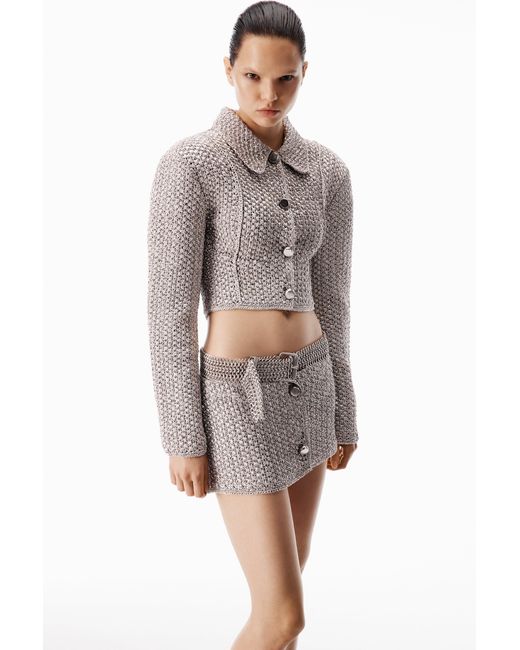 Alexander Wang Metallic Crochet Tweed Mini Skirt