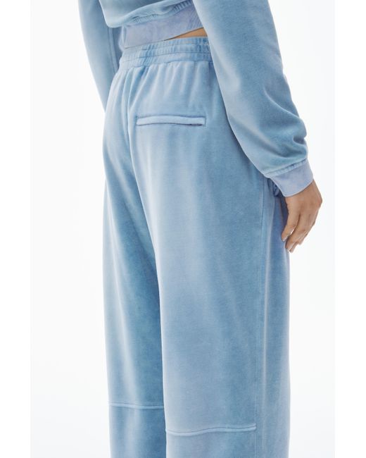 Alexander Wang Blue Trackpants In Crushed Velour