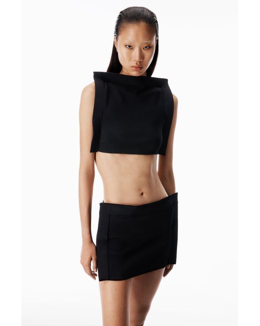 Alexander Wang Black Frame Mini Skirt
