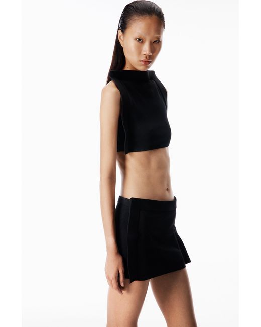 Alexander Wang Black Frame Mini Skirt
