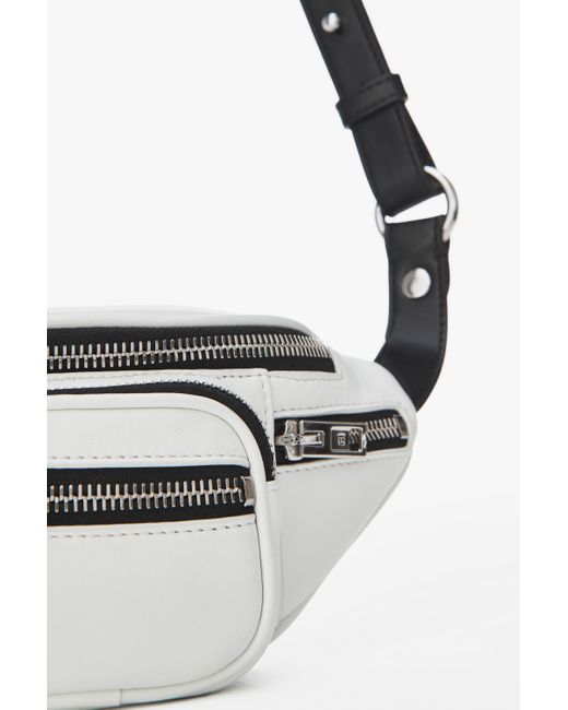 mini fanny pack