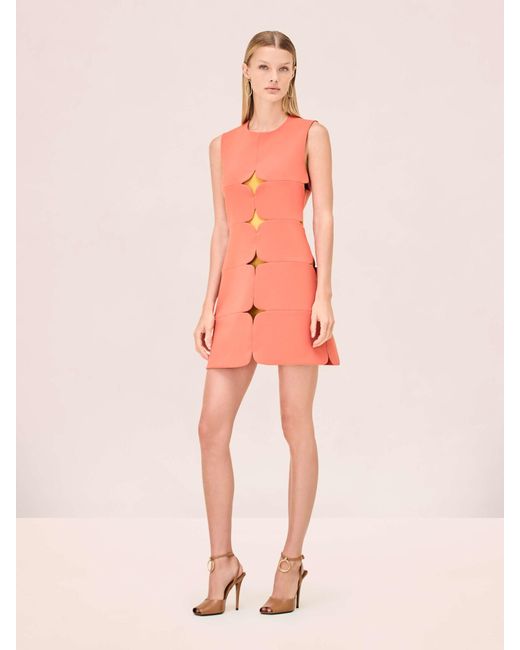 Alexis Pink Winnie Dress