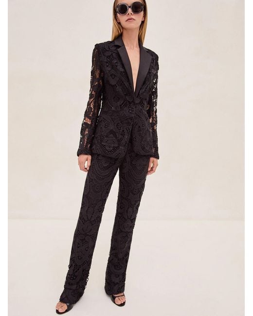 Alexis Natural Pierre Pant