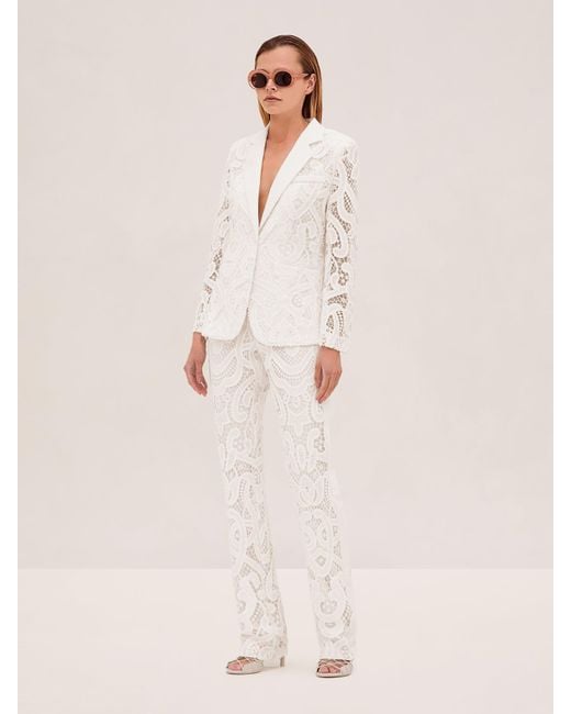 Alexis Natural Pierre Pant