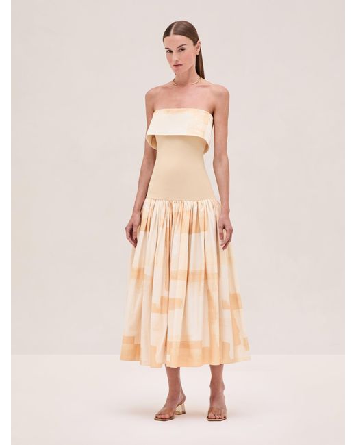 alexis beige dress Corya Dress in Beige