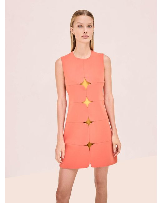 Alexis Pink Winnie Dress